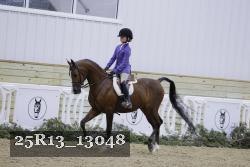 25R13_13048 thumbnail