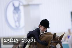 25R13_13081 thumbnail