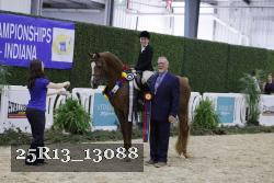 25R13_13088 thumbnail
