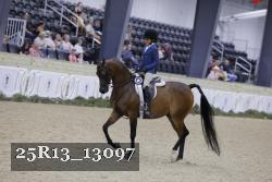 25R13_13097 thumbnail