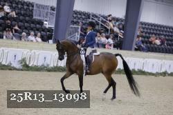 25R13_13098 thumbnail