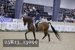 25R13_13099 thumbnail