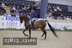 25R13_13100 thumbnail