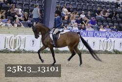 25R13_13101 thumbnail