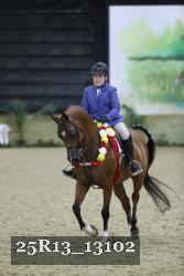 25R13_13102 thumbnail
