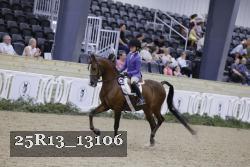 25R13_13106 thumbnail