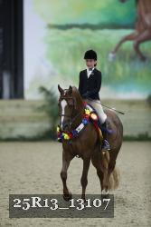25R13_13107 thumbnail