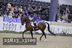 25R13_13109 thumbnail