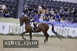 25R13_13110 thumbnail