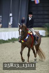 25R13_13111 thumbnail