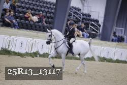 25R13_13117 thumbnail