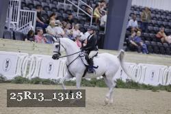 25R13_13118 thumbnail