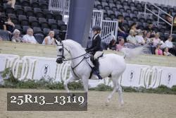 25R13_13119 thumbnail
