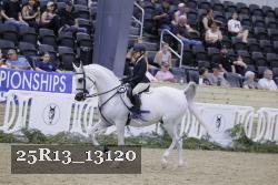 25R13_13120 thumbnail
