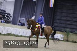 25R13_13121 thumbnail
