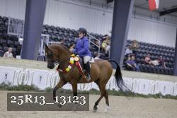 25R13_13123 thumbnail