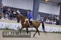 25R13_13124 thumbnail