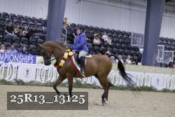 25R13_13125 thumbnail