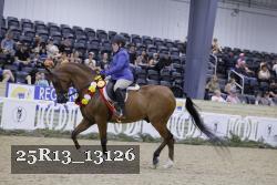 25R13_13126 thumbnail