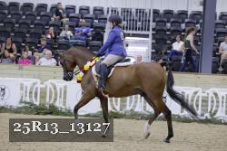 25R13_13127 thumbnail