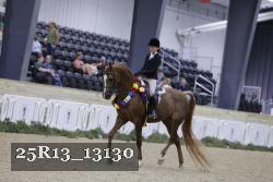 25R13_13130 thumbnail