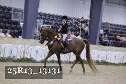25R13_13131 thumbnail