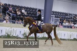 25R13_13132 thumbnail