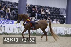 25R13_13133 thumbnail