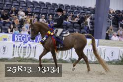 25R13_13134 thumbnail