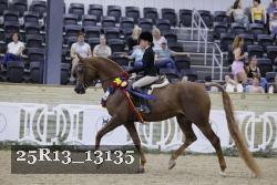 25R13_13135 thumbnail