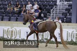 25R13_13137 thumbnail