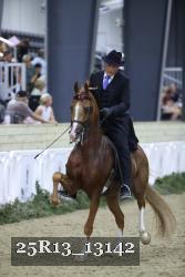 25R13_13142 thumbnail