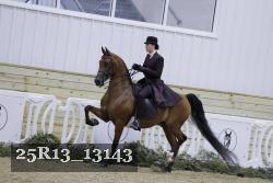 25R13_13143 thumbnail