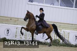 25R13_13144 thumbnail