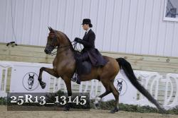 25R13_13145 thumbnail