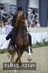 25R13_13146 thumbnail