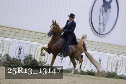 25R13_13147 thumbnail