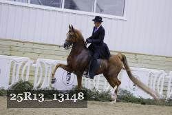 25R13_13148 thumbnail