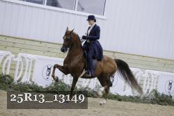 25R13_13149 thumbnail
