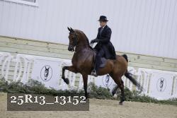 25R13_13152 thumbnail