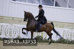 25R13_13153 thumbnail