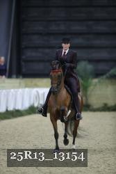 25R13_13154 thumbnail