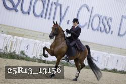 25R13_13156 thumbnail