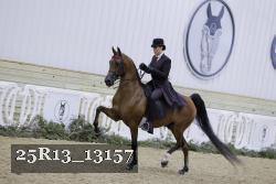 25R13_13157 thumbnail