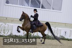 25R13_13158 thumbnail