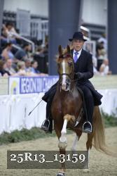 25R13_13159 thumbnail