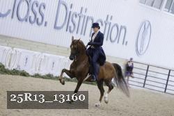 25R13_13160 thumbnail