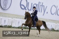 25R13_13161 thumbnail