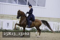 25R13_13162 thumbnail