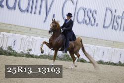 25R13_13163 thumbnail
